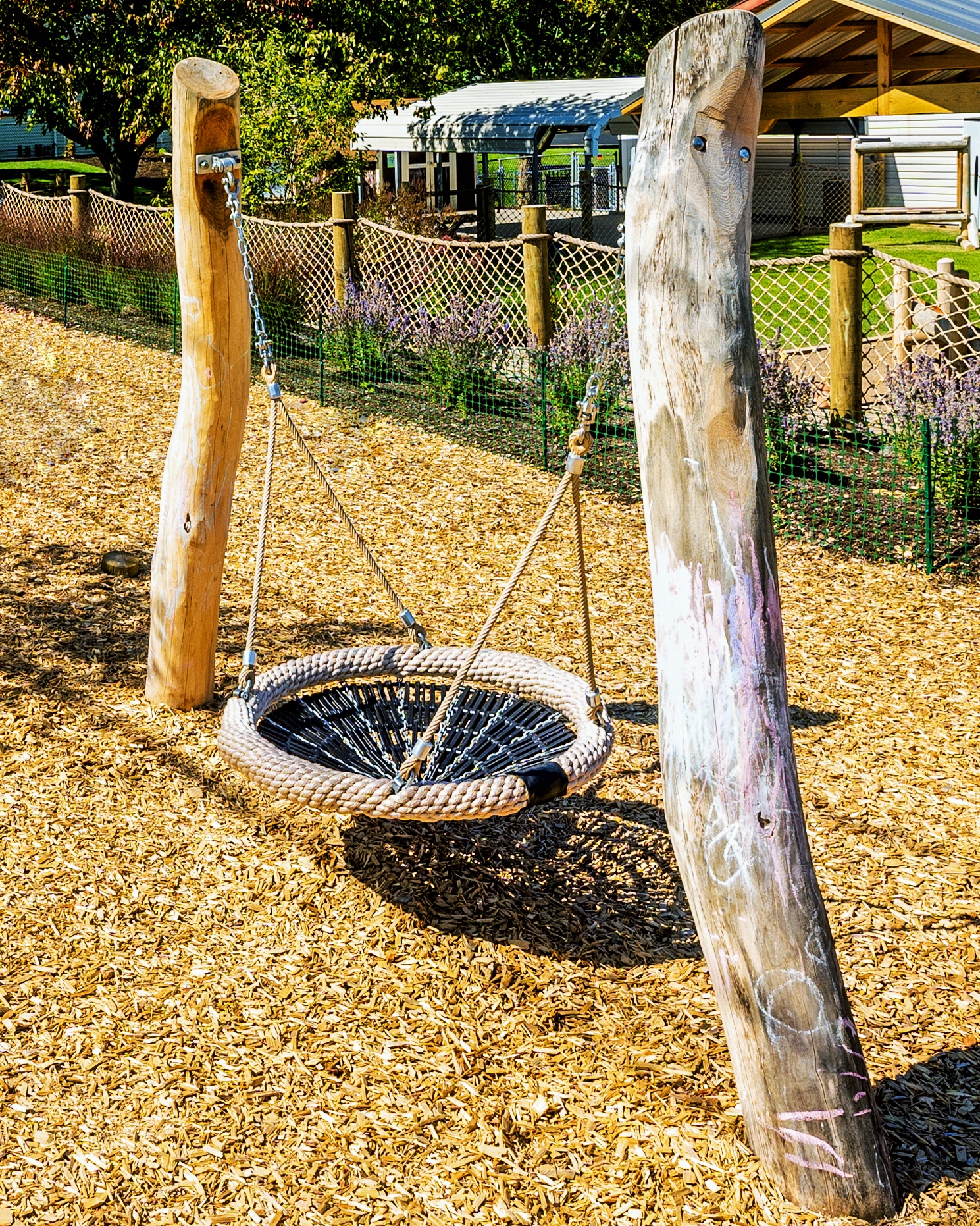 Birds Nest Swing