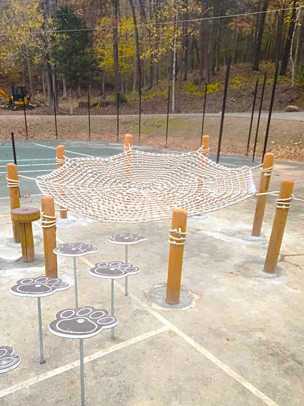 Steel Spider Web (1)