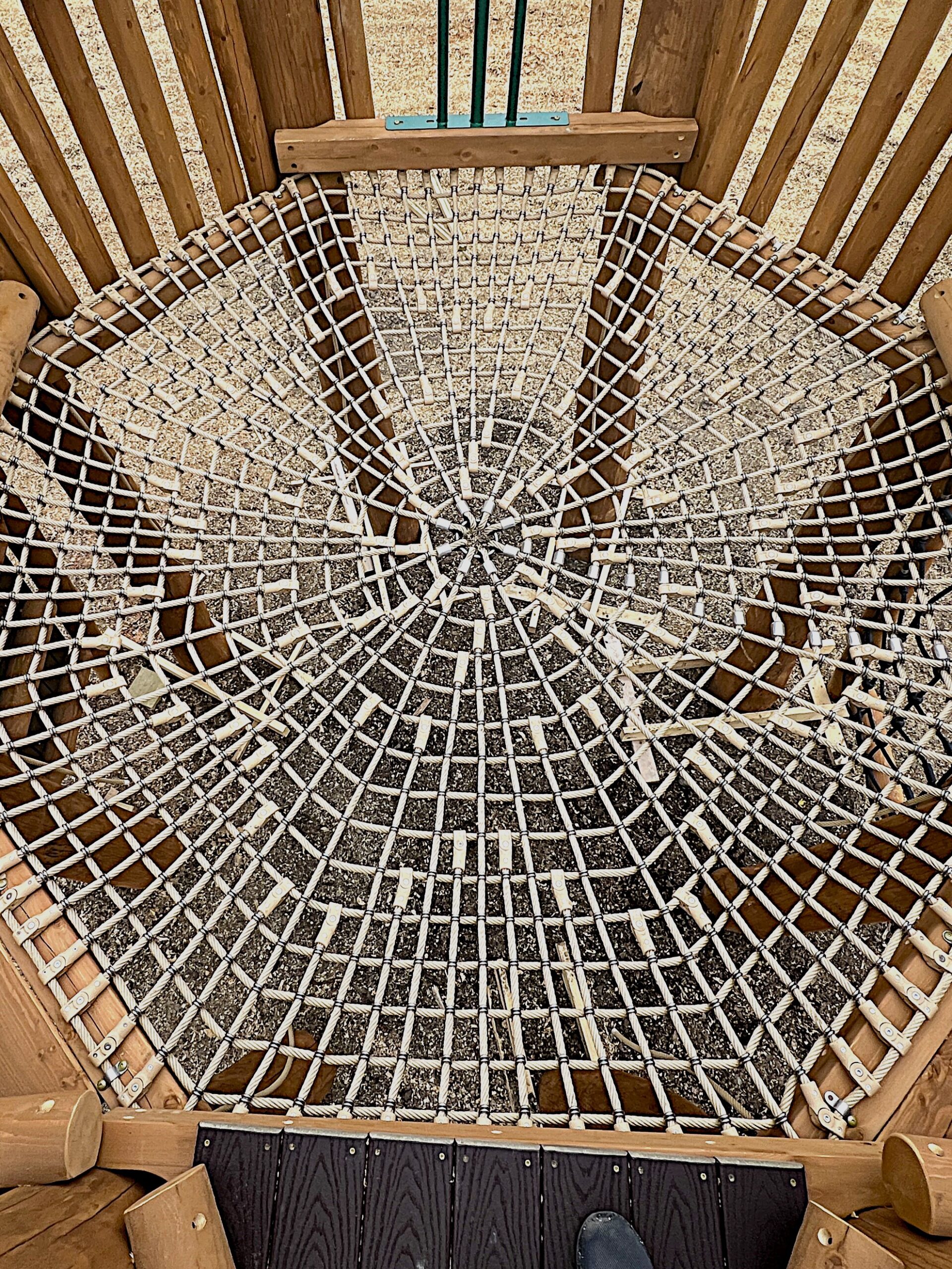 Steel Spider Web (2)