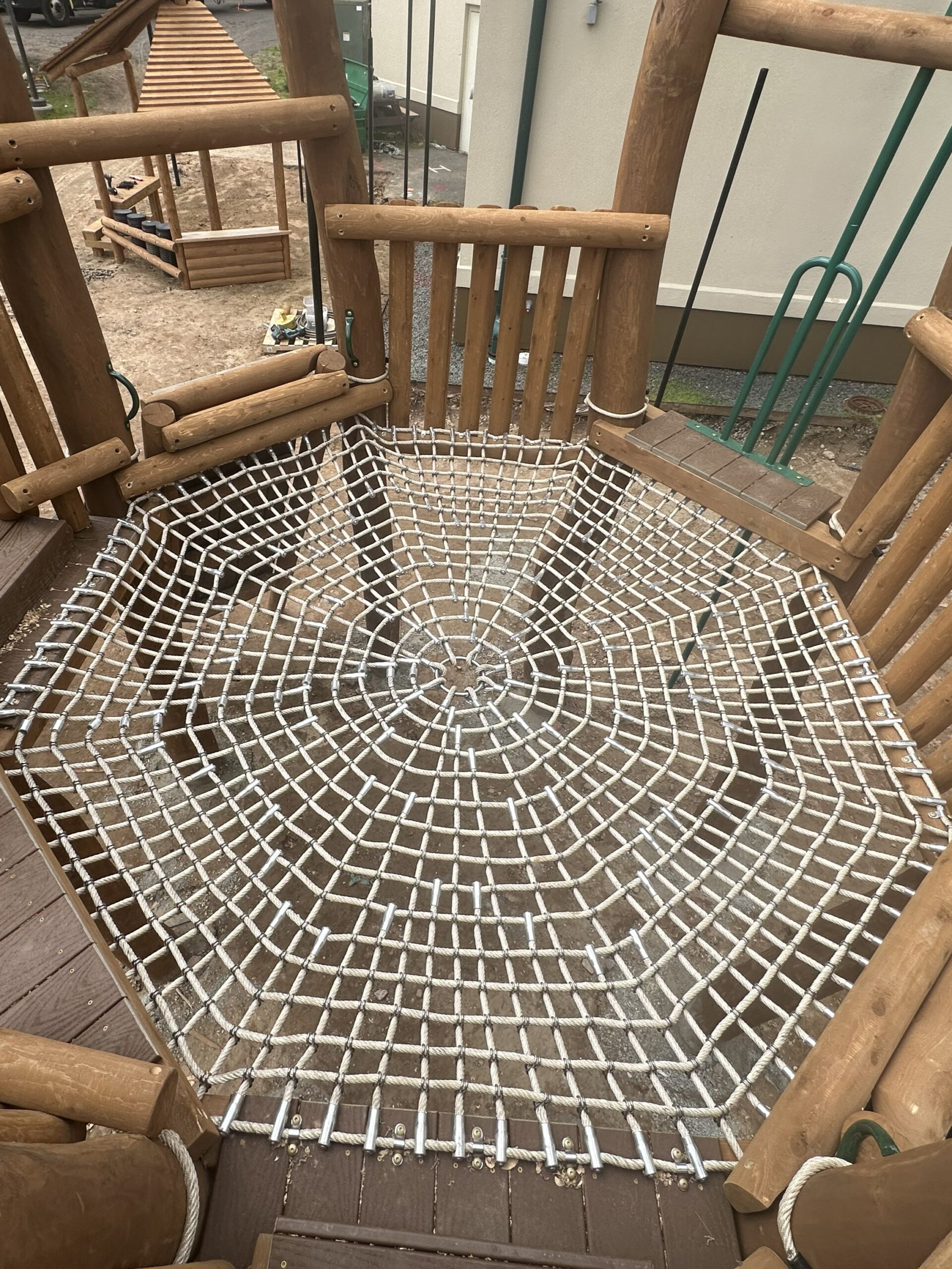 Steel Spider Web (3)